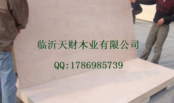 临沂胶合板厂家福兴美猴临沂天财木业-产品展示与工程应用详解